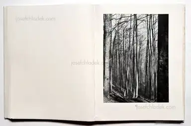 Sample page 32 for book "Renger-Patzsch, Albert – Albert Renger-Patzsch - Die Welt ist schön. Einhundert photographische Aufnahmen." Sample page 32 for book "Renger-Patzsch, Albert – Albert Renger-Patzsch - Die Welt ist schön. Einhundert photographische Aufnahmen."