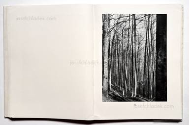 Sample page 20 for book Albert  Renger-Patzsch &ndash; Die Welt ist sch&ouml;n. Einhundert photographische Aufnahmen.