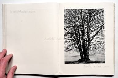 Sample page 21 for book Albert  Renger-Patzsch &ndash; Die Welt ist sch&ouml;n. Einhundert photographische Aufnahmen.