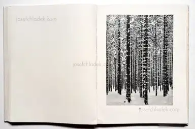 Sample page 30 for book "Renger-Patzsch, Albert – Albert Renger-Patzsch - Die Welt ist schön. Einhundert photographische Aufnahmen." Sample page 30 for book "Renger-Patzsch, Albert – Albert Renger-Patzsch - Die Welt ist schön. Einhundert photographische Aufnahmen."