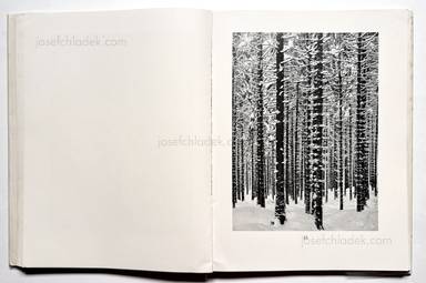 Sample page 22 for book Albert  Renger-Patzsch &ndash; Die Welt ist sch&ouml;n. Einhundert photographische Aufnahmen.