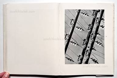 Sample page 37 for book Albert  Renger-Patzsch &ndash; Die Welt ist sch&ouml;n. Einhundert photographische Aufnahmen.