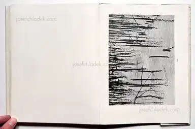 Sample page 9 for book "Renger-Patzsch, Albert – Albert Renger-Patzsch - Die Welt ist schön. Einhundert photographische Aufnahmen." Sample page 9 for book "Renger-Patzsch, Albert – Albert Renger-Patzsch - Die Welt ist schön. Einhundert photographische Aufnahmen."