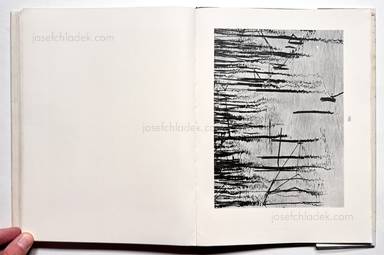 Sample page 43 for book Albert  Renger-Patzsch &ndash; Die Welt ist sch&ouml;n. Einhundert photographische Aufnahmen.