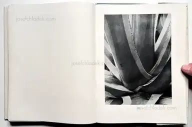 Sample page 2 for book "Renger-Patzsch, Albert – Albert Renger-Patzsch - Die Welt ist schön. Einhundert photographische Aufnahmen." Sample page 2 for book "Renger-Patzsch, Albert – Albert Renger-Patzsch - Die Welt ist schön. Einhundert photographische Aufnahmen."