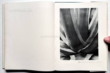 Sample page 50 for book Albert  Renger-Patzsch &ndash; Die Welt ist sch&ouml;n. Einhundert photographische Aufnahmen.