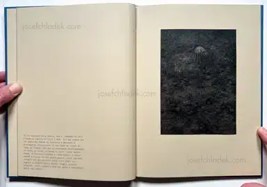 Sample page 13 for book "Calò, Alessandra – Alessandra Calò - Ctonio" Sample page 13 for book "Calò, Alessandra – Alessandra Calò - Ctonio"