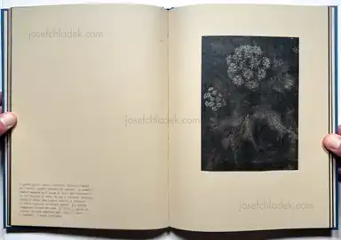 Sample page 8 for book "Calò, Alessandra – Alessandra Calò - Ctonio" Sample page 8 for book "Calò, Alessandra – Alessandra Calò - Ctonio"