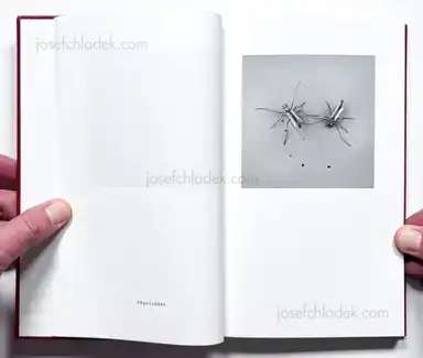 Sample page 45 for book "Andersson, Jerker – Jerker Andersson - ABC Diary - Animal, Building & Car Diary" Sample page 45 for book "Andersson, Jerker – Jerker Andersson - ABC Diary - Animal, Building & Car Diary"