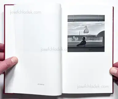 Sample page 44 for book "Andersson, Jerker – Jerker Andersson - ABC Diary - Animal, Building & Car Diary" Sample page 44 for book "Andersson, Jerker – Jerker Andersson - ABC Diary - Animal, Building & Car Diary"