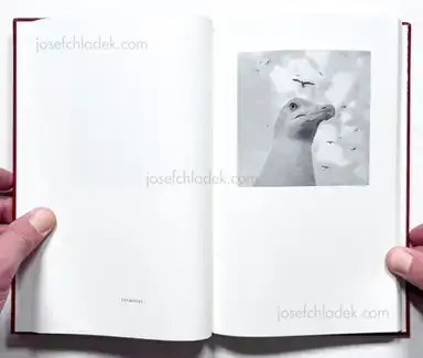 Sample page 42 for book "Andersson, Jerker – Jerker Andersson - ABC Diary - Animal, Building & Car Diary" Sample page 42 for book "Andersson, Jerker – Jerker Andersson - ABC Diary - Animal, Building & Car Diary"