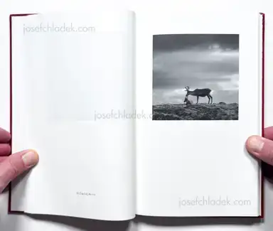 Sample page 41 for book "Andersson, Jerker – Jerker Andersson - ABC Diary - Animal, Building & Car Diary" Sample page 41 for book "Andersson, Jerker – Jerker Andersson - ABC Diary - Animal, Building & Car Diary"