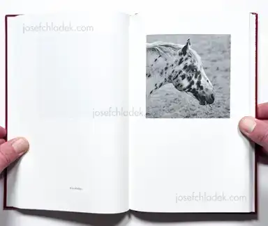 Sample page 39 for book "Andersson, Jerker – Jerker Andersson - ABC Diary - Animal, Building & Car Diary" Sample page 39 for book "Andersson, Jerker – Jerker Andersson - ABC Diary - Animal, Building & Car Diary"