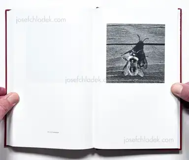 Sample page 35 for book "Andersson, Jerker – Jerker Andersson - ABC Diary - Animal, Building & Car Diary" Sample page 35 for book "Andersson, Jerker – Jerker Andersson - ABC Diary - Animal, Building & Car Diary"