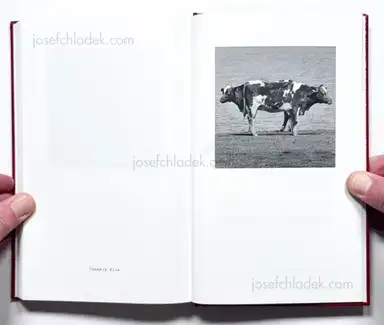 Sample page 34 for book "Andersson, Jerker – Jerker Andersson - ABC Diary - Animal, Building & Car Diary" Sample page 34 for book "Andersson, Jerker – Jerker Andersson - ABC Diary - Animal, Building & Car Diary"