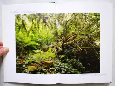 Sample page 9 for book "Johansson, Gerry – Gerry Johansson - Konstnärens trädgård" Sample page 9 for book "Johansson, Gerry – Gerry Johansson - Konstnärens trädgård"