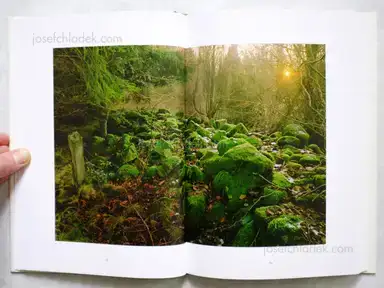 Sample page 6 for book "Johansson, Gerry – Gerry Johansson - Konstnärens trädgård" Sample page 6 for book "Johansson, Gerry – Gerry Johansson - Konstnärens trädgård"