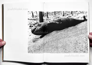 Sample page 30 for book "Moriyama, Daido – Daido Moriyama - Japan, A Photo Theater (English Version - 2018 Reprint)" Sample page 30 for book "Moriyama, Daido – Daido Moriyama - Japan, A Photo Theater (English Version - 2018 Reprint)"
