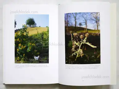 Sample page 1 for book "Johansson, Gerry – Gerry Johansson - Konstnärens trädgård" Sample page 1 for book "Johansson, Gerry – Gerry Johansson - Konstnärens trädgård"