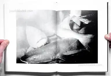 Sample page 3 for book "Moriyama, Daido – Daido Moriyama - Farewell Photography (English Version - 2019 Reprint)" Sample page 3 for book "Moriyama, Daido – Daido Moriyama - Farewell Photography (English Version - 2019 Reprint)"