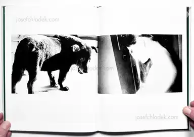 Sample page 5 for book "Moriyama, Daido – Daido Moriyama - A Hunter (English Version - 2019 Reprint)" Sample page 5 for book "Moriyama, Daido – Daido Moriyama - A Hunter (English Version - 2019 Reprint)"