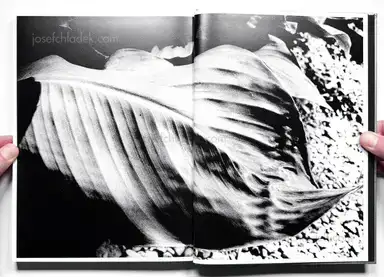 Sample page 29 for book "Moriyama, Daido – Daido Moriyama - Ligh and Shadow (English Version - 2019 Reprint)" Sample page 29 for book "Moriyama, Daido – Daido Moriyama - Ligh and Shadow (English Version - 2019 Reprint)"