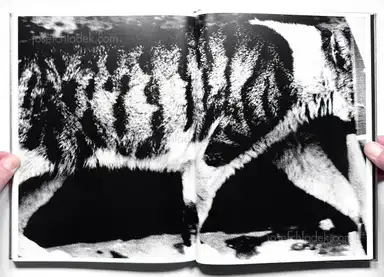 Sample page 25 for book "Moriyama, Daido – Daido Moriyama - Ligh and Shadow (English Version - 2019 Reprint)" Sample page 25 for book "Moriyama, Daido – Daido Moriyama - Ligh and Shadow (English Version - 2019 Reprint)"