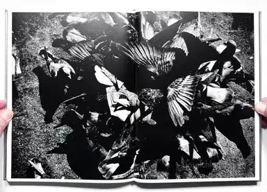 Sample page 20 for book "Moriyama, Daido – Daido Moriyama - Ligh and Shadow (English Version - 2019 Reprint)" Sample page 20 for book "Moriyama, Daido – Daido Moriyama - Ligh and Shadow (English Version - 2019 Reprint)"