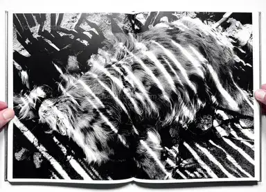 Sample page 16 for book "Moriyama, Daido – Daido Moriyama - Ligh and Shadow (English Version - 2019 Reprint)" Sample page 16 for book "Moriyama, Daido – Daido Moriyama - Ligh and Shadow (English Version - 2019 Reprint)"