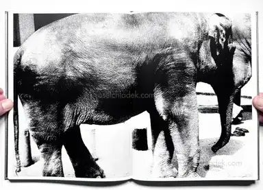 Sample page 13 for book "Moriyama, Daido – Daido Moriyama - Ligh and Shadow (English Version - 2019 Reprint)" Sample page 13 for book "Moriyama, Daido – Daido Moriyama - Ligh and Shadow (English Version - 2019 Reprint)"