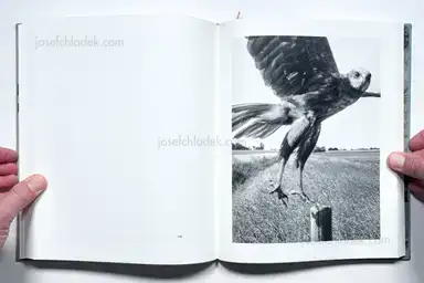 Sample page 8 for book "Gill, Stephen – Stephen Gill - The Pillar" Sample page 8 for book "Gill, Stephen – Stephen Gill - The Pillar"