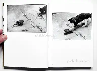 Sample page 19 for book "Fukase, Masahisa – Masahisa Fukase - Sasuke" Sample page 19 for book "Fukase, Masahisa – Masahisa Fukase - Sasuke"