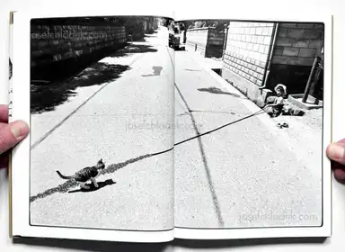 Sample page 14 for book "Fukase, Masahisa – Masahisa Fukase - Sasuke" Sample page 14 for book "Fukase, Masahisa – Masahisa Fukase - Sasuke"