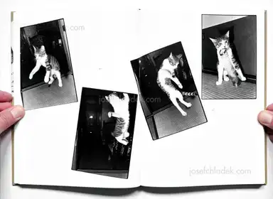 Sample page 12 for book "Fukase, Masahisa – Masahisa Fukase - Sasuke" Sample page 12 for book "Fukase, Masahisa – Masahisa Fukase - Sasuke"
