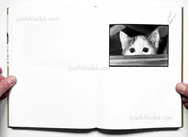 Sample page 11 for book "Fukase, Masahisa – Masahisa Fukase - Sasuke" Sample page 11 for book "Fukase, Masahisa – Masahisa Fukase - Sasuke"
