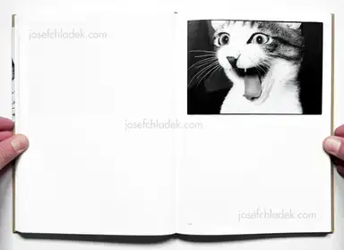 Sample page 8 for book "Fukase, Masahisa – Masahisa Fukase - Sasuke" Sample page 8 for book "Fukase, Masahisa – Masahisa Fukase - Sasuke"