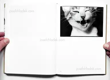 Sample page 4 for book "Fukase, Masahisa – Masahisa Fukase - Sasuke" Sample page 4 for book "Fukase, Masahisa – Masahisa Fukase - Sasuke"