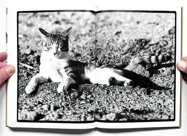 Sample page 3 for book "Fukase, Masahisa – Masahisa Fukase - Sasuke" Sample page 3 for book "Fukase, Masahisa – Masahisa Fukase - Sasuke"