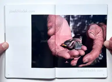 Sample page 2 for book "Moreno, Antonio – Antonio Moreno - Cuaderno de campo" Sample page 2 for book "Moreno, Antonio – Antonio Moreno - Cuaderno de campo"
