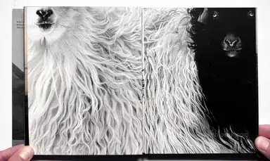 Sample page 6 for book "Chupikova, Eva – Eva Chupikova - Faroe Islands ; Wool, Wind & Waves" Sample page 6 for book "Chupikova, Eva – Eva Chupikova - Faroe Islands ; Wool, Wind & Waves"