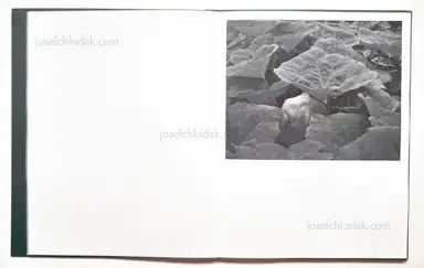 Sample page 13 for book "Offen, Scott – Scott Offen - Grace" Sample page 13 for book "Offen, Scott – Scott Offen - Grace"