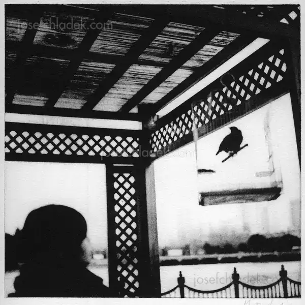 David Mondedeu - From the East, Light - Spread 10