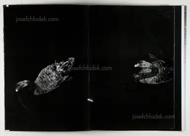 Sample page 4 for book "Staaf, Victor – Victor Staaf - Taking Turns" Sample page 4 for book "Staaf, Victor – Victor Staaf - Taking Turns"