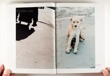 Sample page 19 for book "Mikhailov, Boris – Boris Mikhailov - Case History" Sample page 19 for book "Mikhailov, Boris – Boris Mikhailov - Case History"