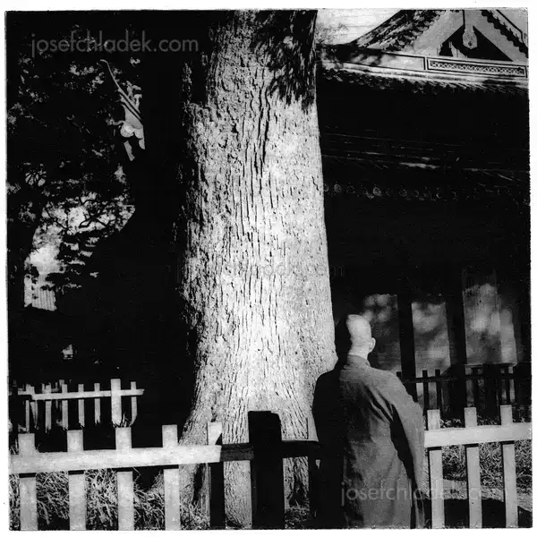 David Mondedeu - From the East, Light - Spread 23
