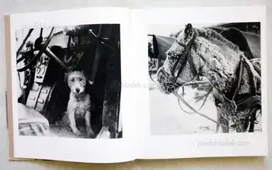 Sample page 13 for book "Thomson, David – David Thomson - 82" Sample page 13 for book "Thomson, David – David Thomson - 82"