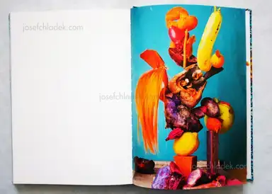 Sample page 2 for book "Vitturi, Lorenzo – Lorenzo Vitturi - Dalston Anatomy" Sample page 2 for book "Vitturi, Lorenzo – Lorenzo Vitturi - Dalston Anatomy"