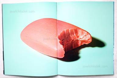 Sample page 7 for book  Maurizio Cattelan – Toilet Paper #6
