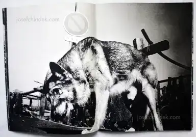 Sample page 2 for book "Petersen, Anders – Anders Petersen - City Diary" Sample page 2 for book "Petersen, Anders – Anders Petersen - City Diary"