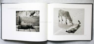 Sample page 11 for book "Sammallahti, Pentti – Pentti Sammallahti - Here Far Away" Sample page 11 for book "Sammallahti, Pentti – Pentti Sammallahti - Here Far Away"